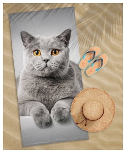 Ręcznik plażowy 70x140 Kot