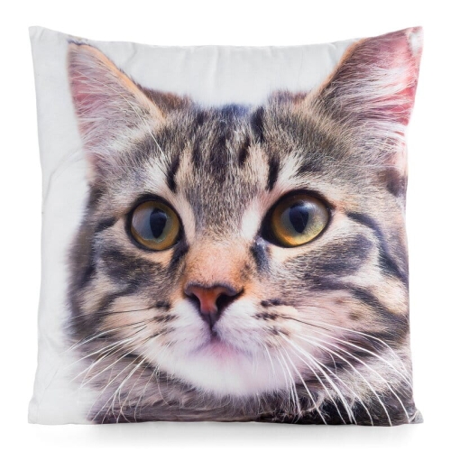 Poszewka Animals 45x45 Kot Dachowiec 