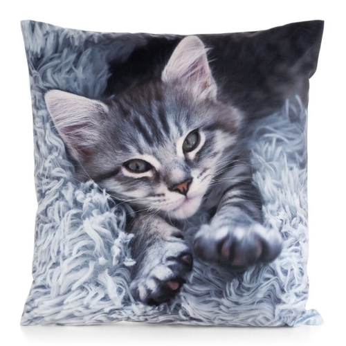 Poszewka Animals 45x45 Mały Kotek