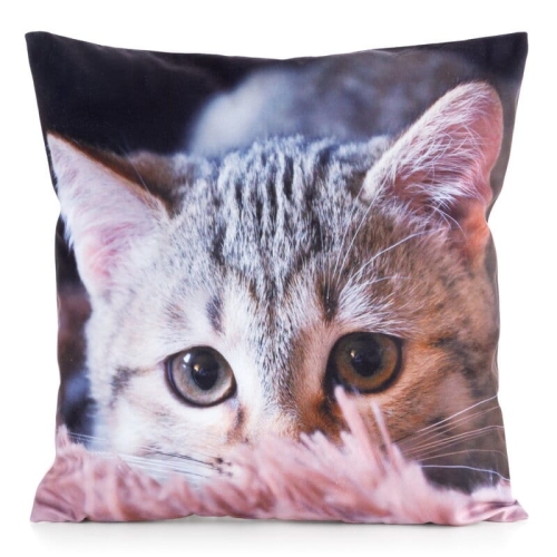 Poszewka Animals 45x45 Kotek