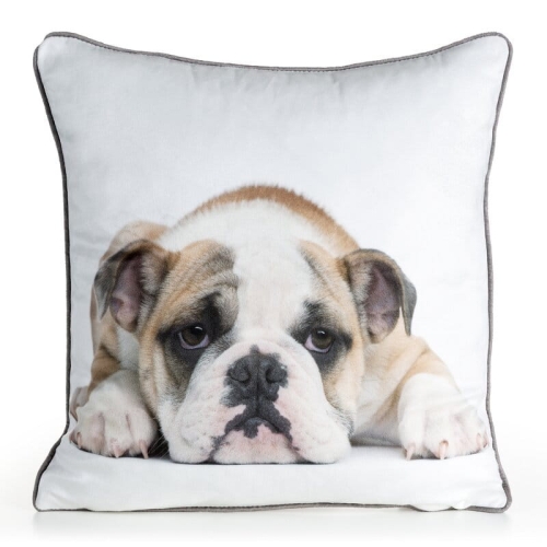 Poszewka Animal 45x45 Szczeniak Buldoga