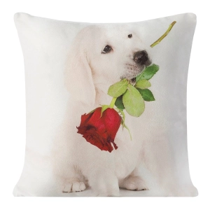 Poszewka dekoracyjna 40x40 z Golden Retrieverem + wypełnienie